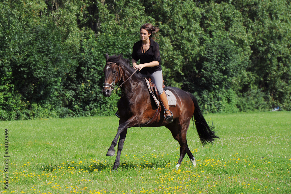 cavalière cavalière