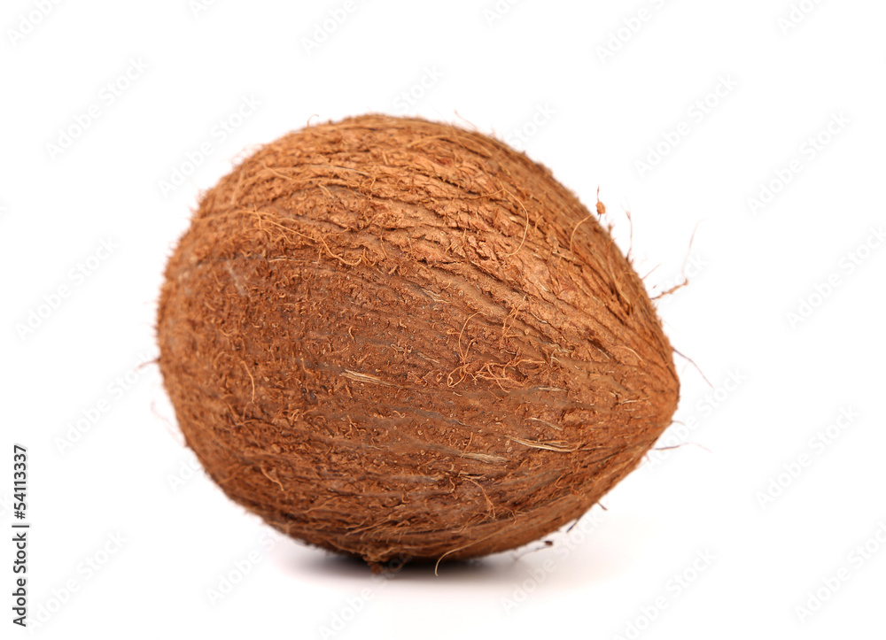 coconut isolated on white coconut isolated on white