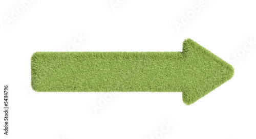 Green grass arrow