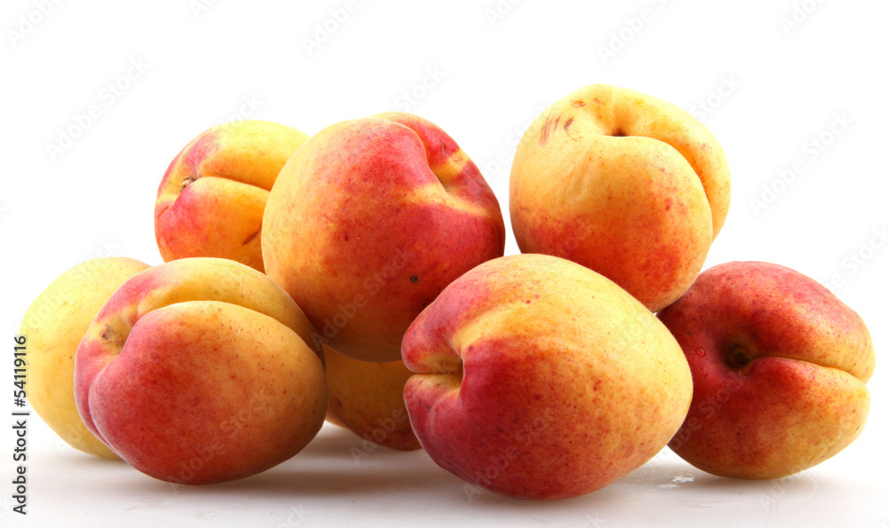 apricots on a white background apricots on a white background