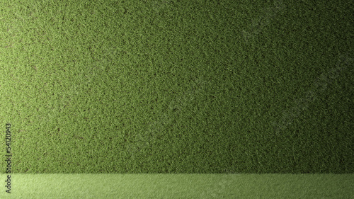 wall of grass with backlight 3d rendered