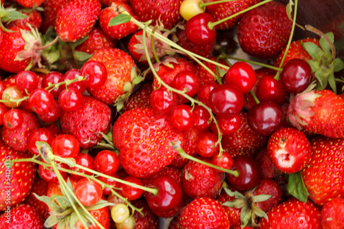 Red berries