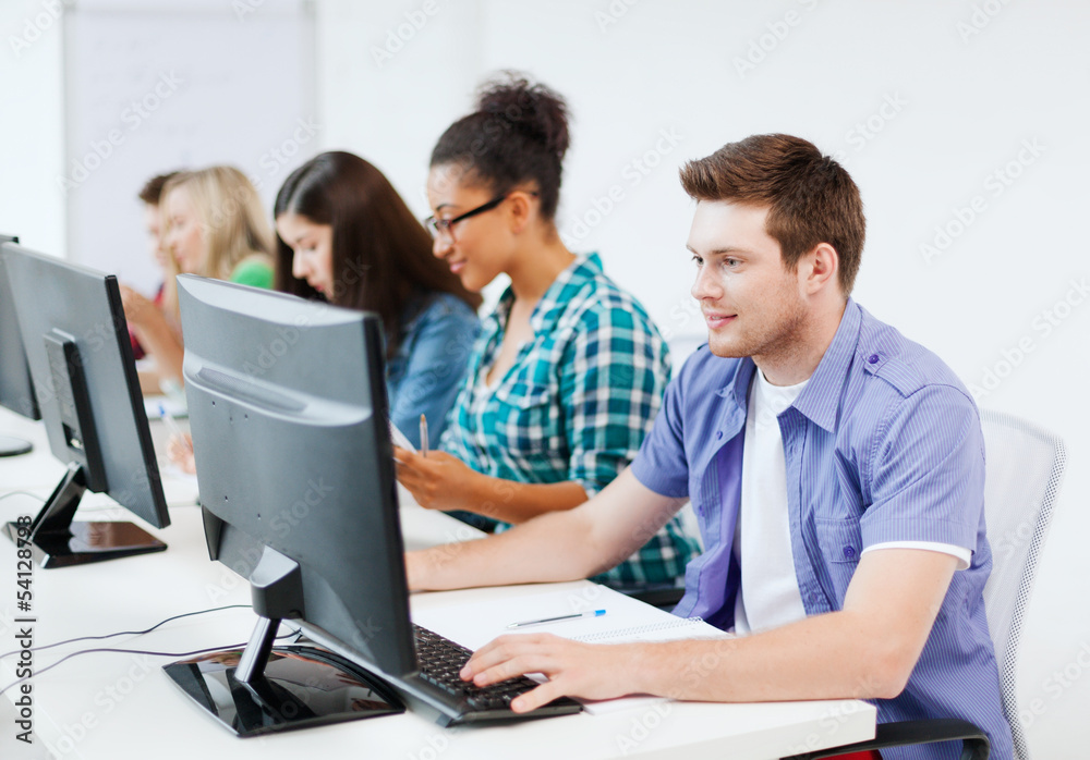 student with computer studying at school student with computer studying at school