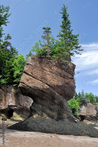 Hopewell Rocks at low tide, Canada