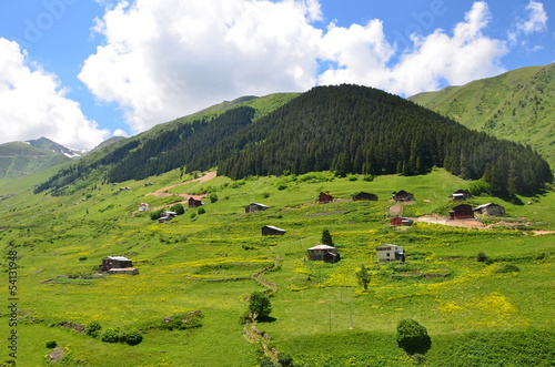 ikizdere alm im pontischen gebirge photo