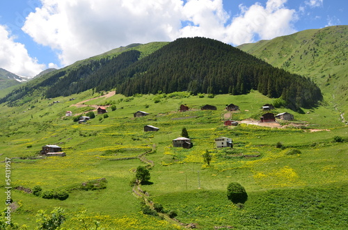 ikizdere alm im pontischen gebirge photo