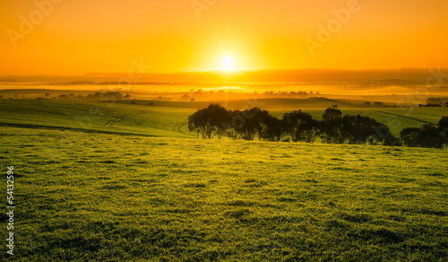 Sunrise Field