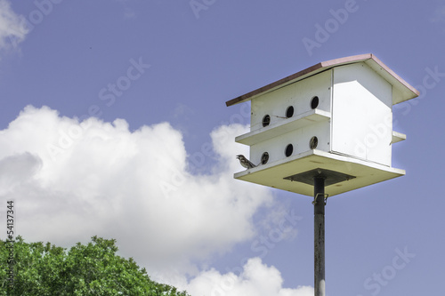 Bird House