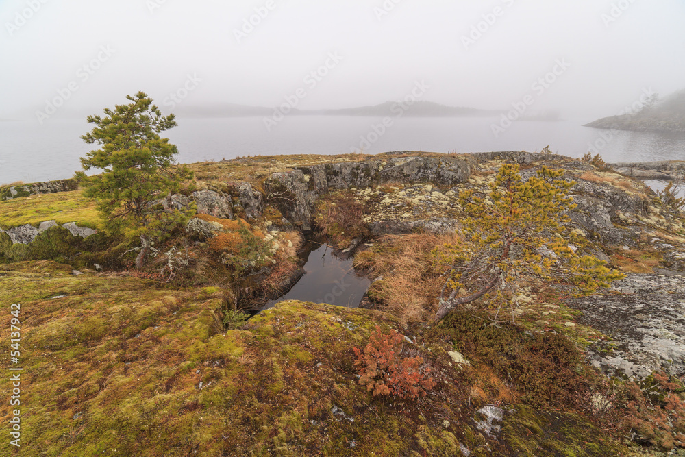 Obraz premium Fog on stony coast of lake. spring landscape