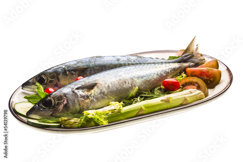 Atlantic raw sardine photo