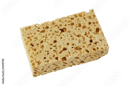 Sponge on white background.
