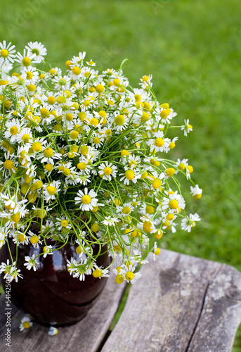 Fototapeta Naklejka Na Ścianę i Meble -  chamomile on wooden table