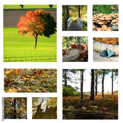 Herbst Collage