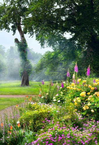 Fototapeta Naklejka Na Ścianę i Meble -  Art flowers in the morning in an English park