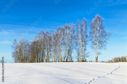 Russian landscape. Sunny day in winter