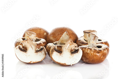 mushroom isolated on white background.