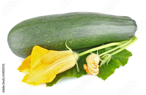 fresh zucchini with green leaves and flower