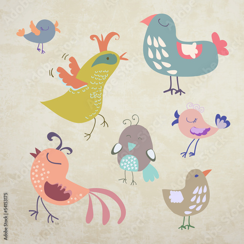 Cute bird