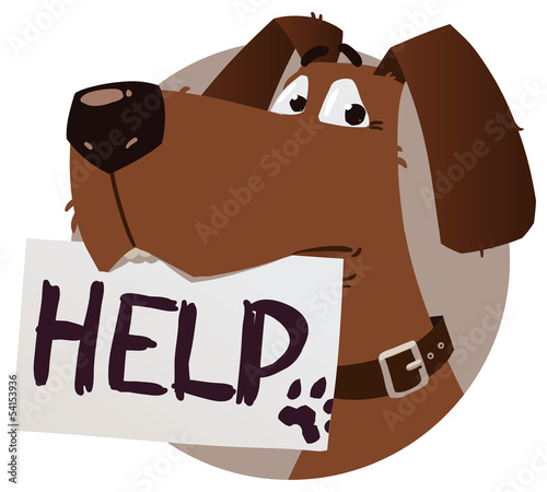 dog with help sign