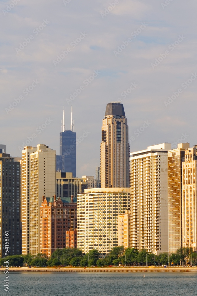 Obraz premium Chicago Downtown