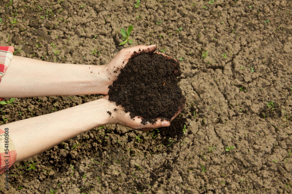 hands with black soil