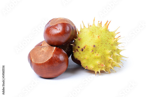 Chestnuts  isolated on white background