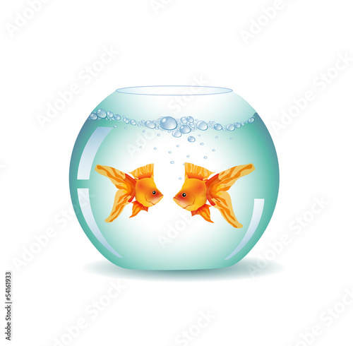 Goldfish bowl