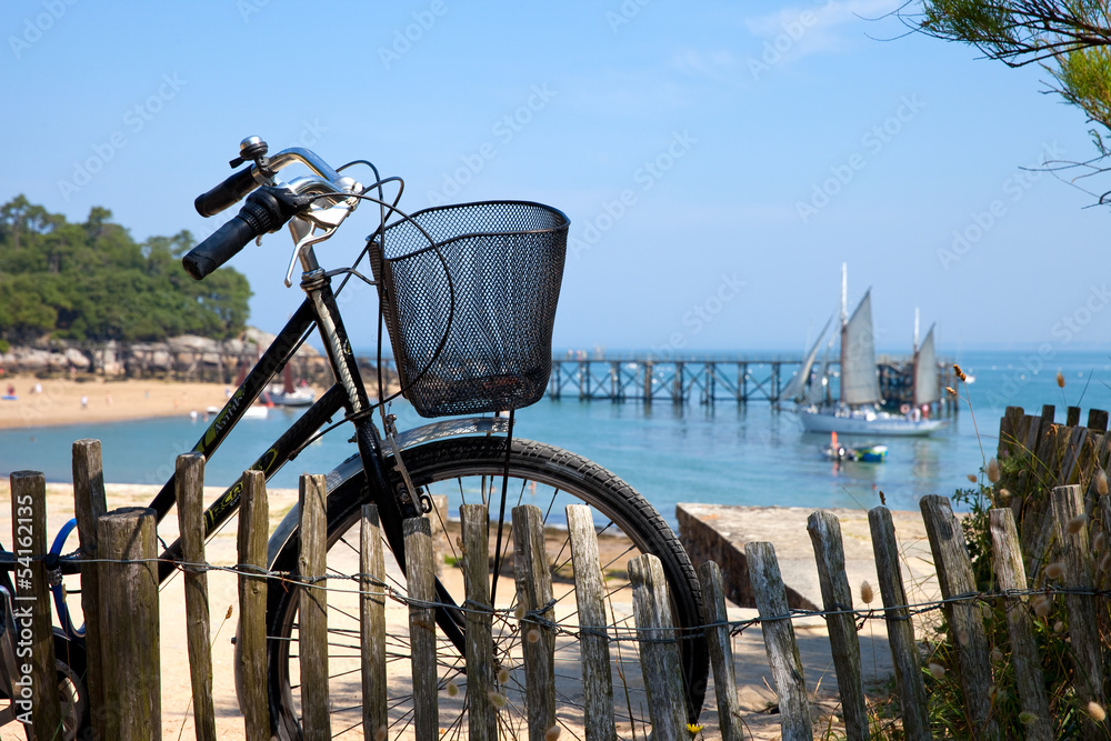 France > Noirmoutier > Bois de la Chaise > Vélo