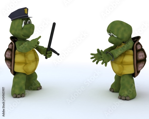 Принти на полотні tortoises as cops and robbers