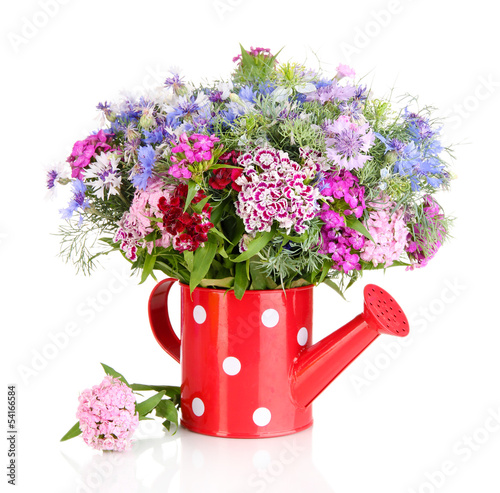 Beautiful bouquet in watering can isolated on white