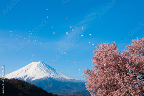 舞い散る桜の花びら