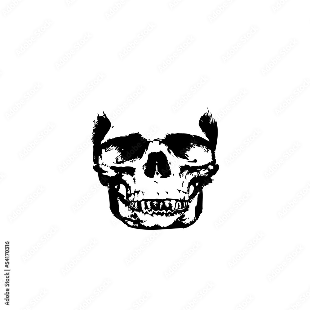 skull vector