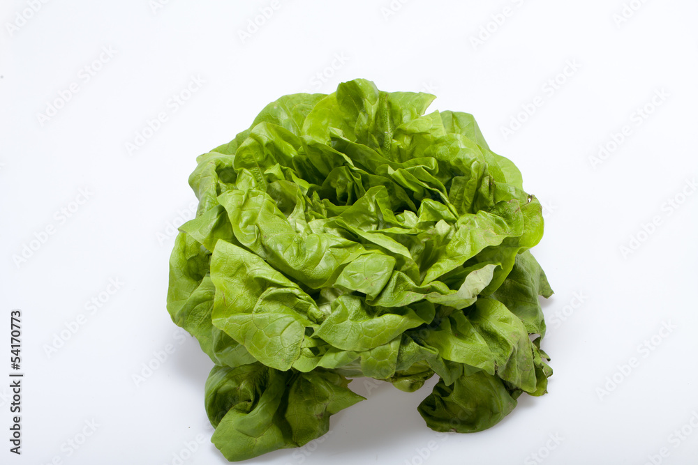 Fresh green Lettuce salad isolated on white background Fresh green Lettuce salad isolated on white background