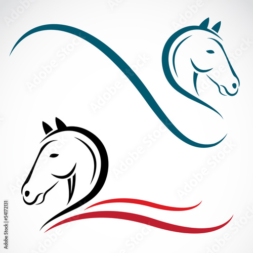 Vector head of horse