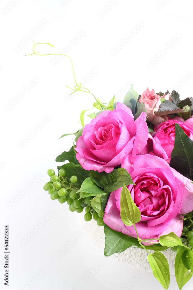 Fototapeta premium 花
