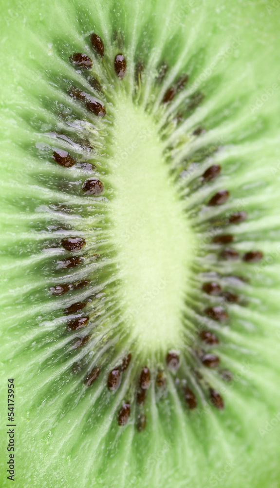 kiwi fruit as background. macro kiwi fruit as background. macro
