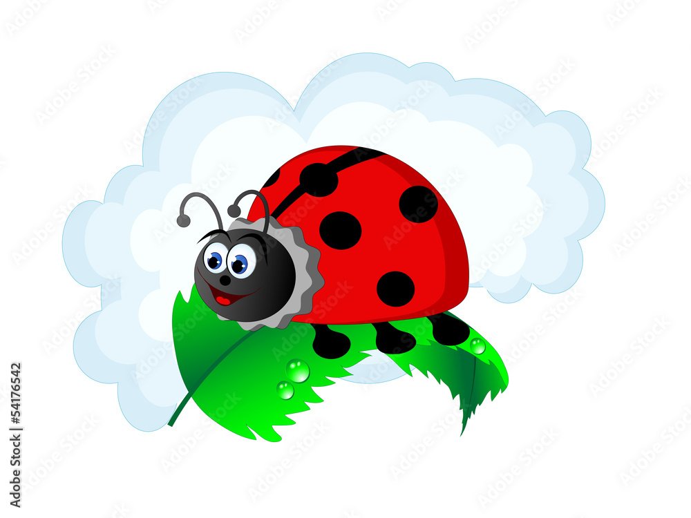 Ladybird Ladybird