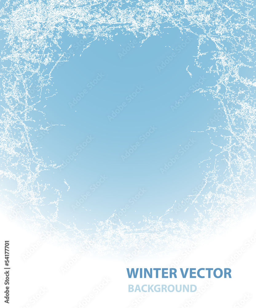 Background  with rime for winter holiday