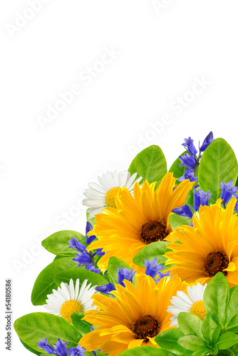 Bouquet of nice flowers