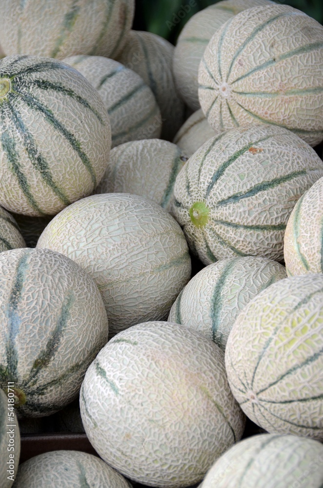 Melons at the market