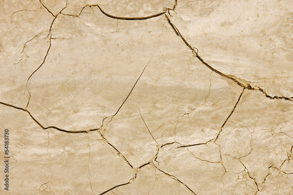 Fototapeta premium Dry and cracked soil texture