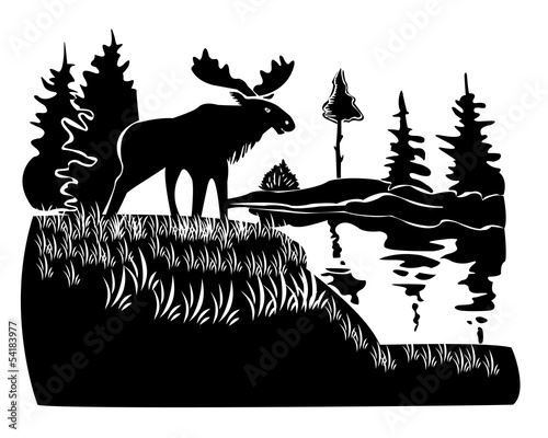 elk