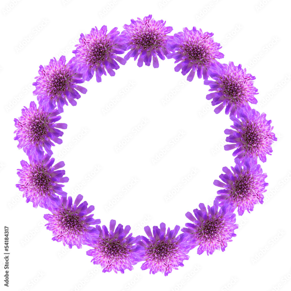 Circle frame of purple flowers