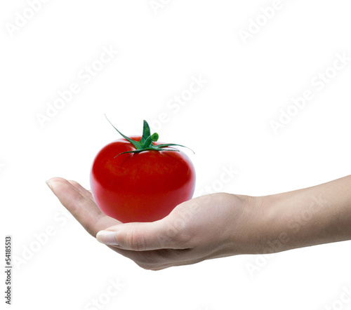 Tomate in Hand
