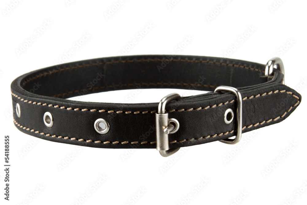 © siavramova - Black leather dog collar isolated on white background © siavramova - Black leather dog collar isolated on white background