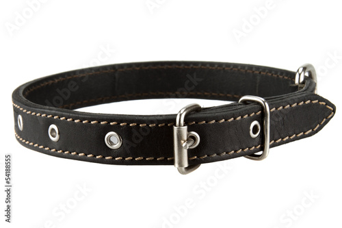 Black leather dog collar isolated on white background Fototapet