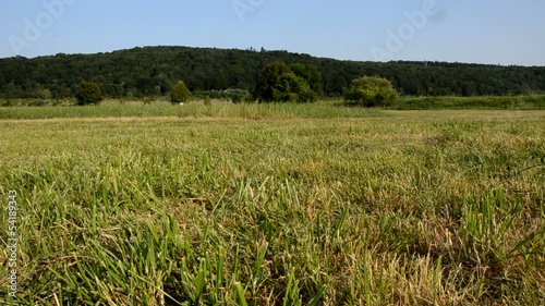 Fußball Dribbling Front photo