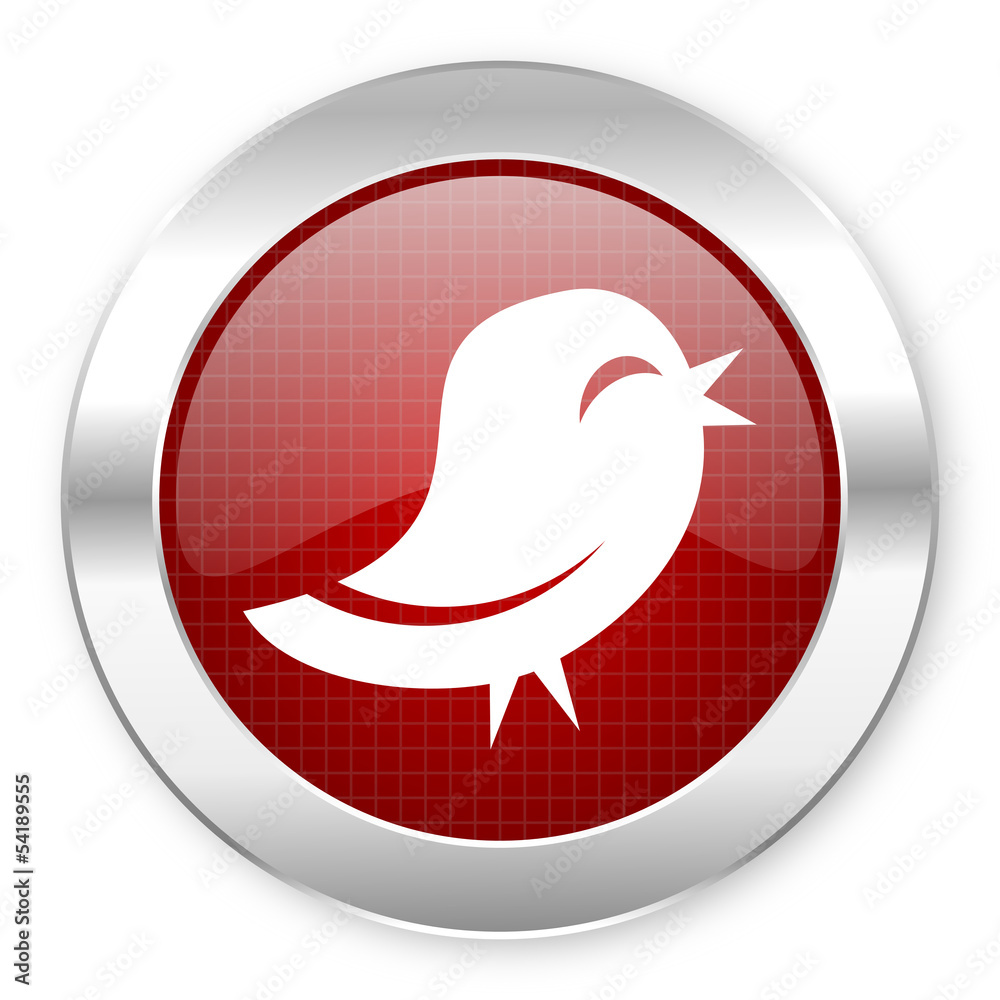 twitter icon twitter icon