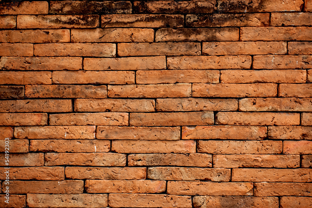 Fototapeta premium Red brick wall texture grunge background