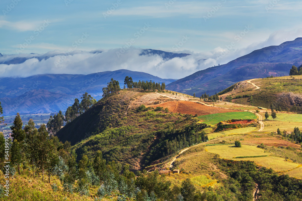 Obraz premium Fields in Bolivia
